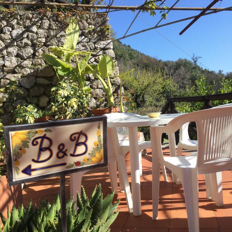 B&B Le Tre Casette Maratea Exterior foto