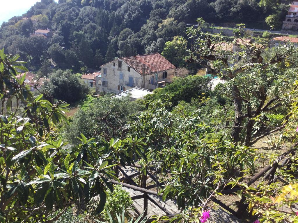 B&B Le Tre Casette Maratea Exterior foto